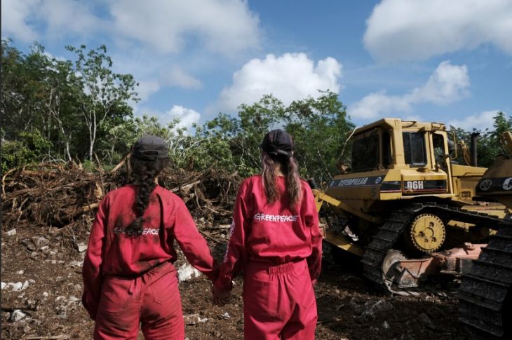 Tramos 6 y 7 del Tren Maya ponen en grave riesgo a la Selva Maya: Greenpeace